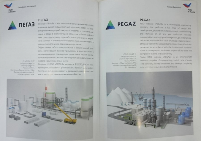 Информация о НИПИ ПЕГАЗ в проспекте